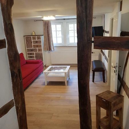 Zauberhafte Wohnung In Der Naehe Von Heidelberg, Top Lage Hirschhorn Dış mekan fotoğraf