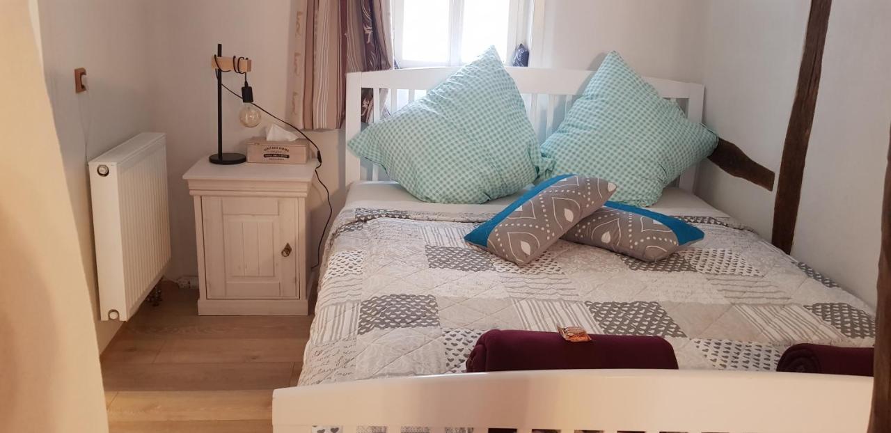 Zauberhafte Wohnung In Der Naehe Von Heidelberg, Top Lage Hirschhorn Dış mekan fotoğraf