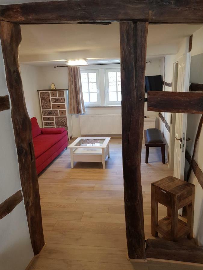 Zauberhafte Wohnung In Der Naehe Von Heidelberg, Top Lage Hirschhorn Dış mekan fotoğraf