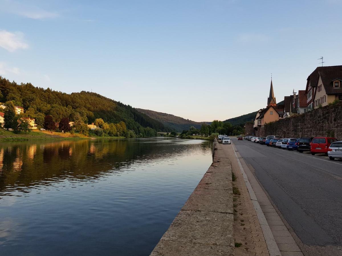 Zauberhafte Wohnung In Der Naehe Von Heidelberg, Top Lage Hirschhorn Dış mekan fotoğraf