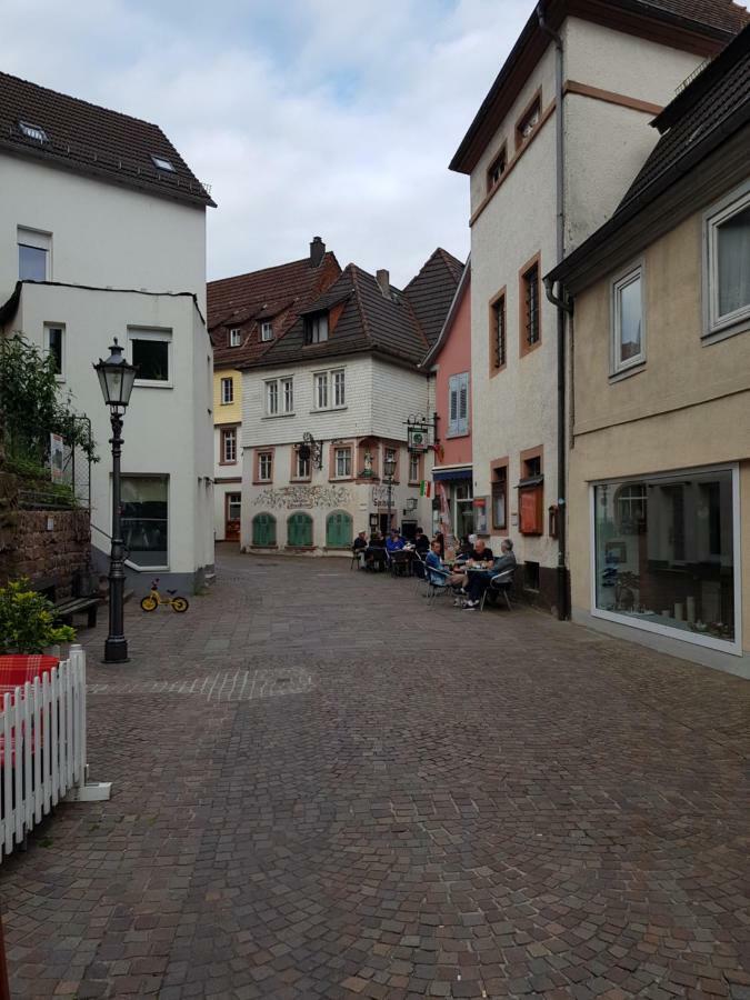 Zauberhafte Wohnung In Der Naehe Von Heidelberg, Top Lage Hirschhorn Dış mekan fotoğraf