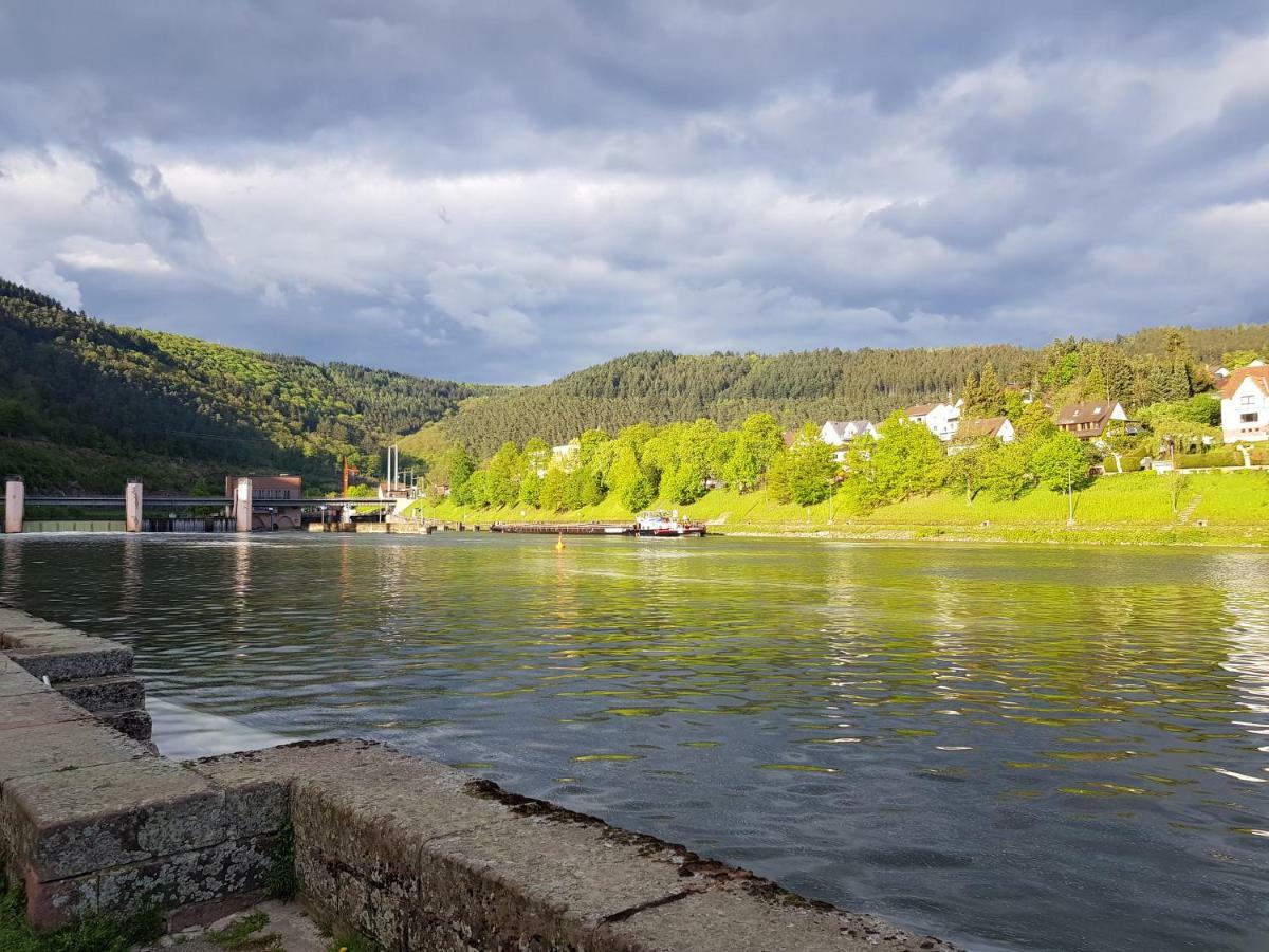 Zauberhafte Wohnung In Der Naehe Von Heidelberg, Top Lage Hirschhorn Dış mekan fotoğraf
