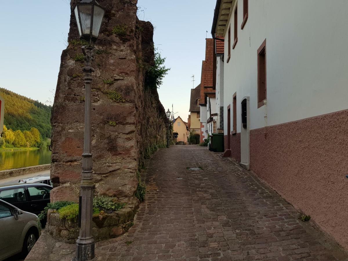 Zauberhafte Wohnung In Der Naehe Von Heidelberg, Top Lage Hirschhorn Dış mekan fotoğraf