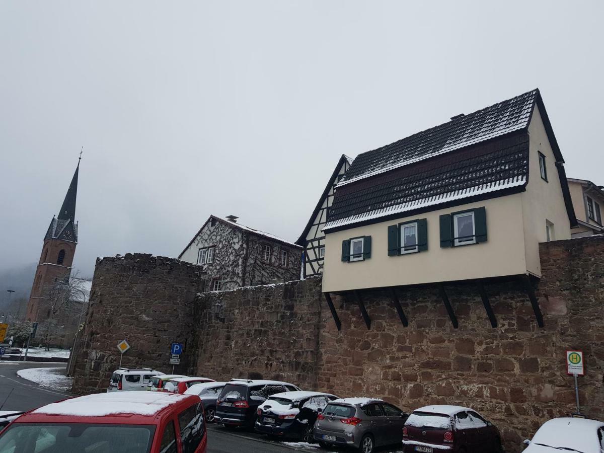 Zauberhafte Wohnung In Der Naehe Von Heidelberg, Top Lage Hirschhorn Dış mekan fotoğraf