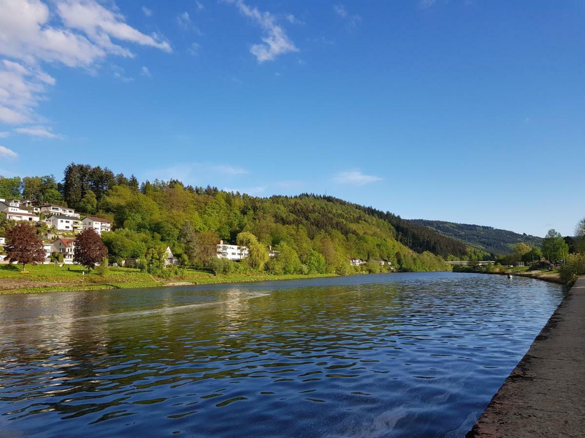 Zauberhafte Wohnung In Der Naehe Von Heidelberg, Top Lage Hirschhorn Dış mekan fotoğraf