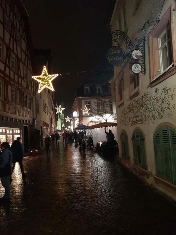 Zauberhafte Wohnung In Der Naehe Von Heidelberg, Top Lage Hirschhorn Dış mekan fotoğraf