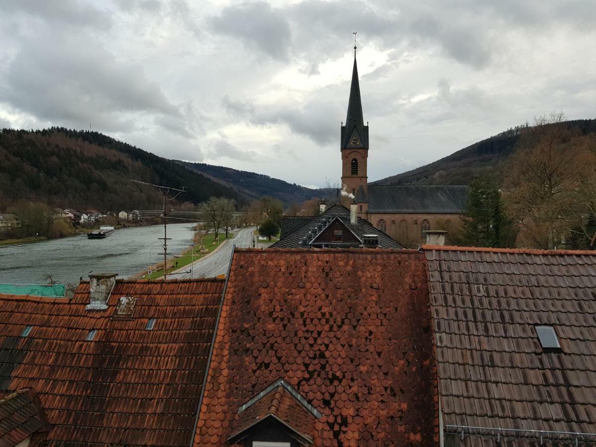 Zauberhafte Wohnung In Der Naehe Von Heidelberg, Top Lage Hirschhorn Dış mekan fotoğraf