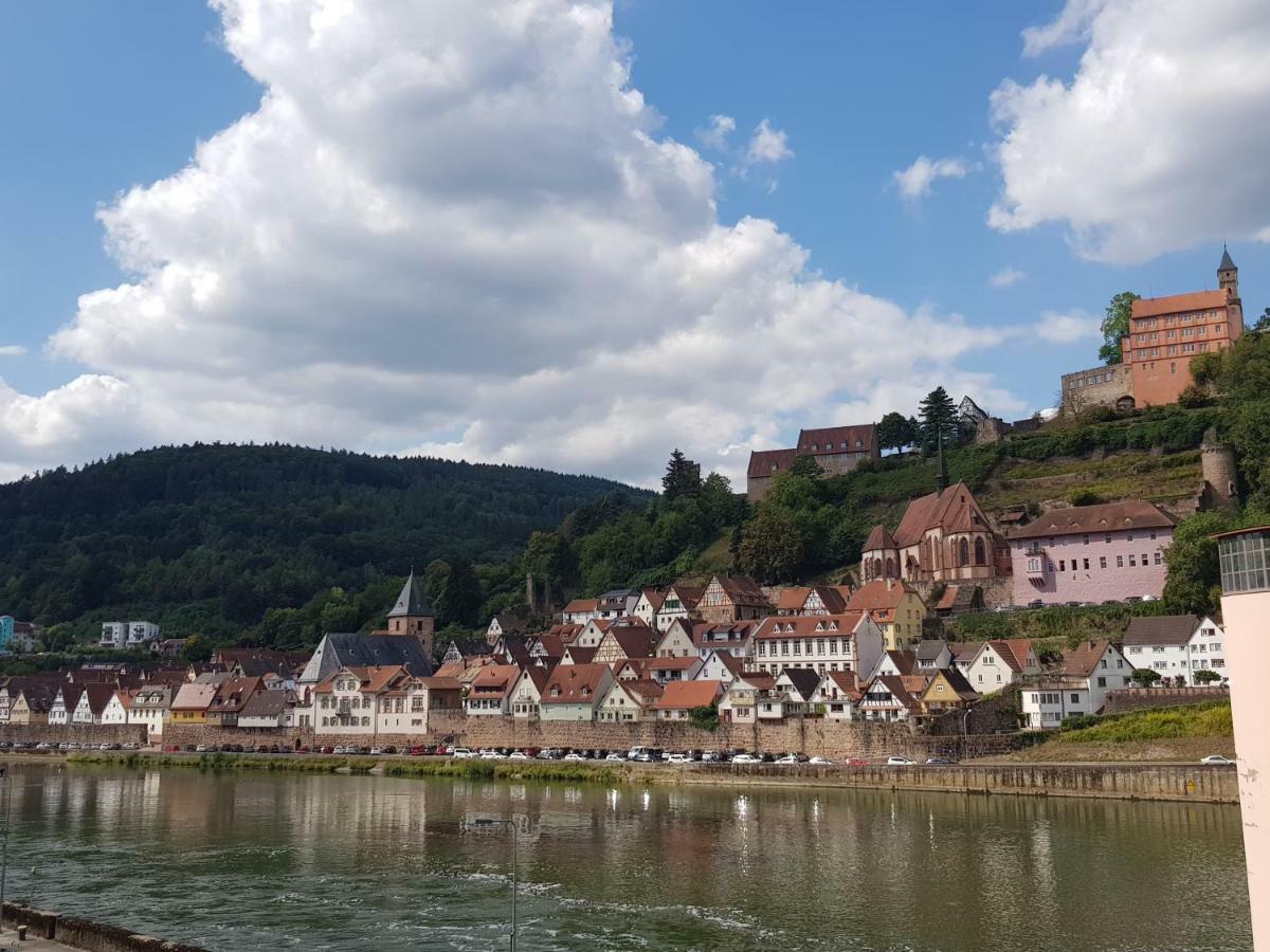 Zauberhafte Wohnung In Der Naehe Von Heidelberg, Top Lage Hirschhorn Dış mekan fotoğraf