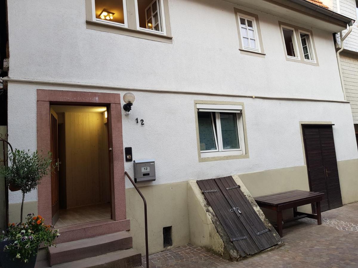 Zauberhafte Wohnung In Der Naehe Von Heidelberg, Top Lage Hirschhorn Dış mekan fotoğraf