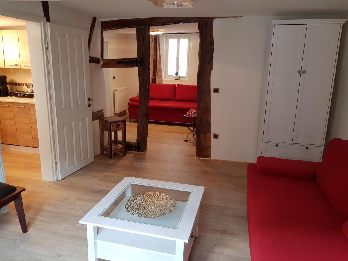 Zauberhafte Wohnung In Der Naehe Von Heidelberg, Top Lage Hirschhorn Dış mekan fotoğraf