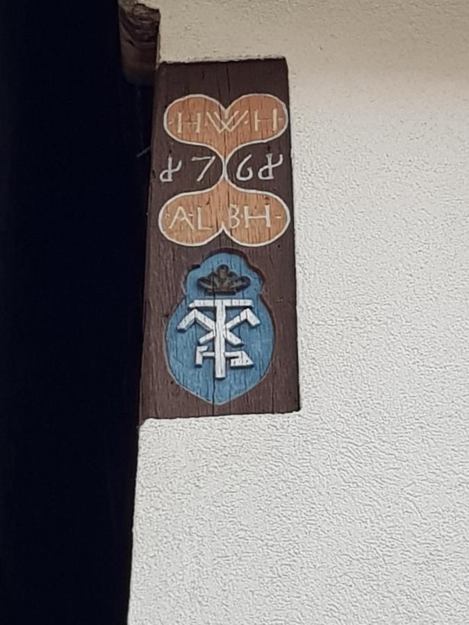 Zauberhafte Wohnung In Der Naehe Von Heidelberg, Top Lage Hirschhorn Dış mekan fotoğraf